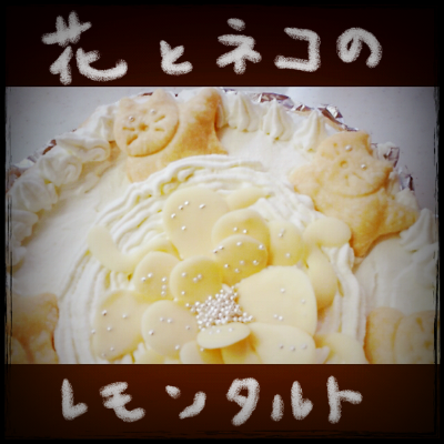 a0205596_223844100.png