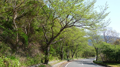 e0070606_01674.jpg
