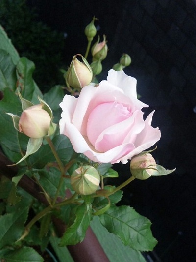 c0147909_22211047.jpg