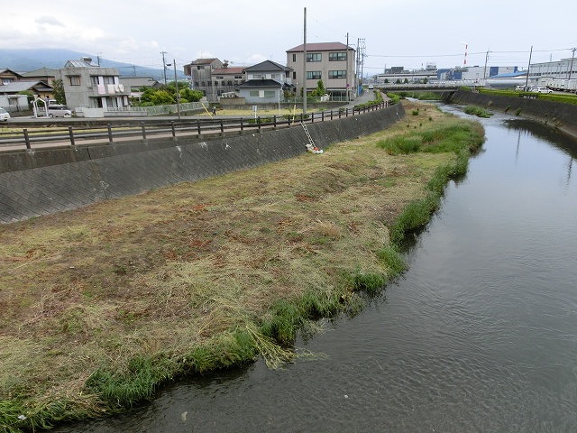 5月の小潤井川の風景_f0141310_7222643.jpg