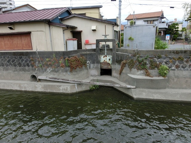 5月の小潤井川の風景_f0141310_7243578.jpg