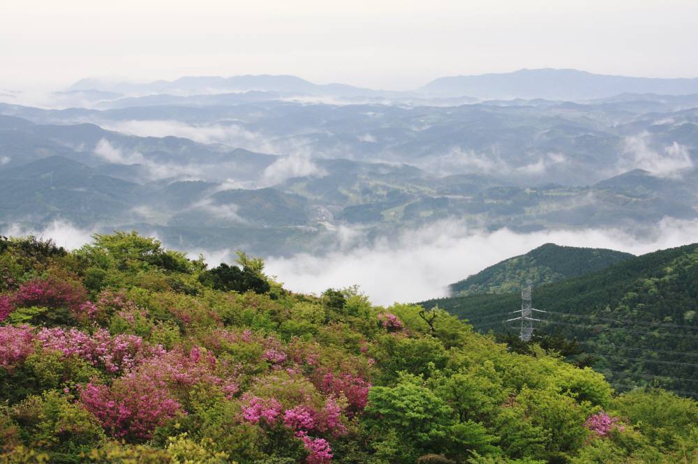 井原山 雷山（福岡県）982ｍ 955ｍ_f0212511_22515732.jpg