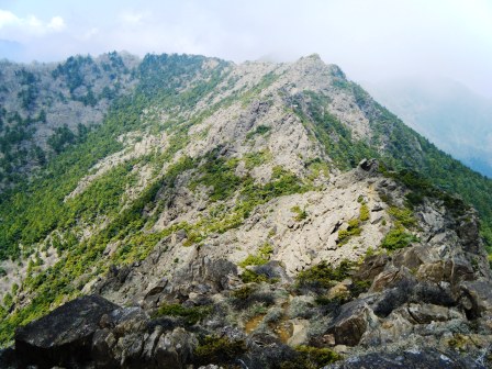 東赤石山～西赤石山　登山　四国　13.5.5_e0333313_1032554.jpg