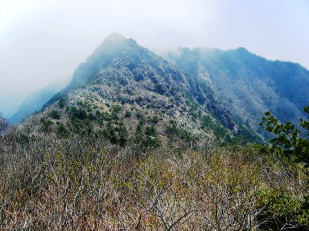 東赤石山～西赤石山　登山　四国　13.5.5_e0333313_1044622.jpg