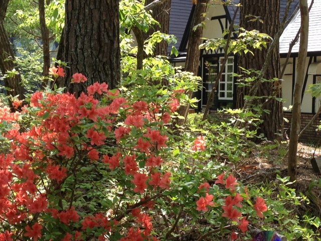 c0047814_11184455.jpg