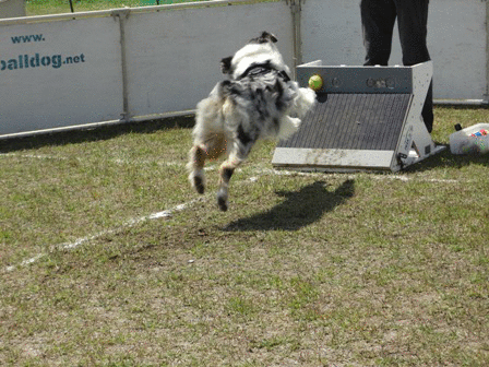 c0254426_0591195.gif