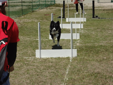 c0254426_115382.gif