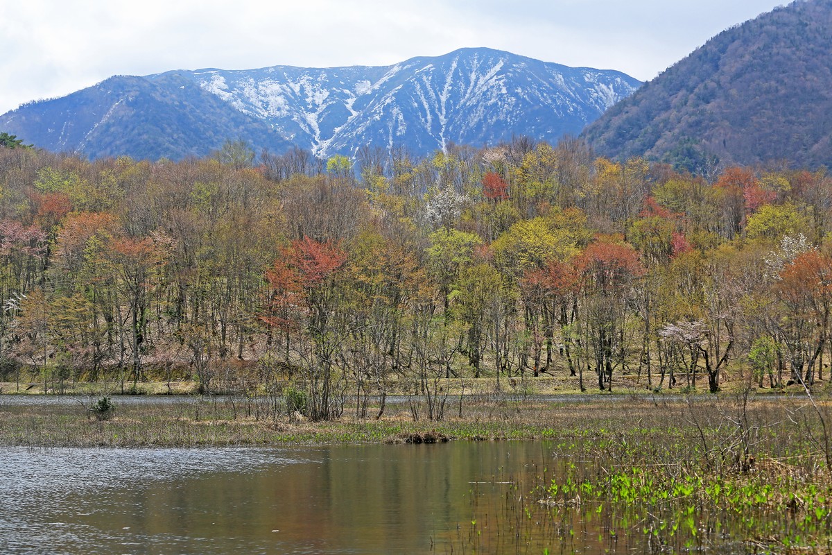 c0104227_9325053.jpg
