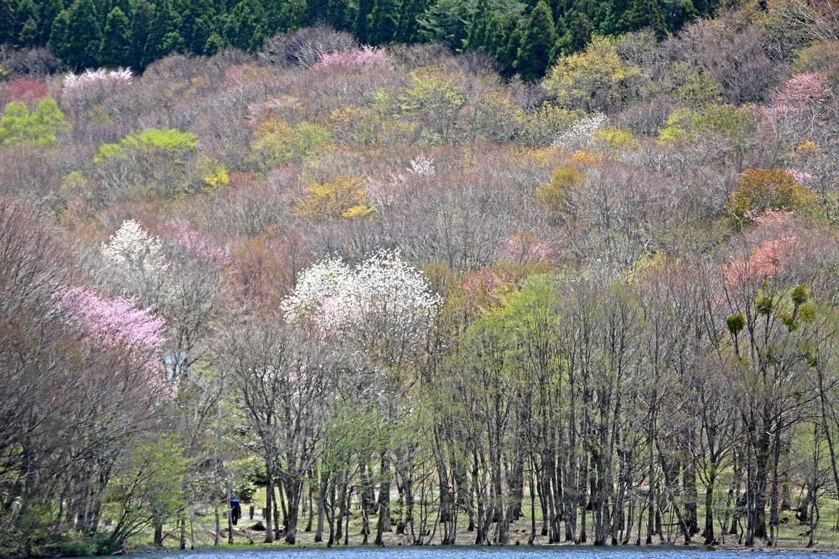 c0104227_93396.jpg