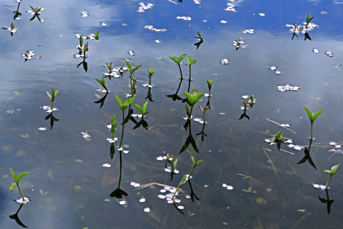 c0104227_934681.jpg