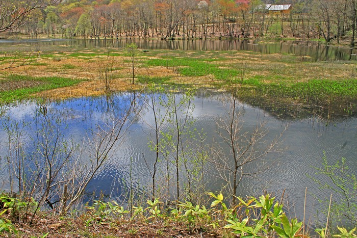 c0104227_9443855.jpg