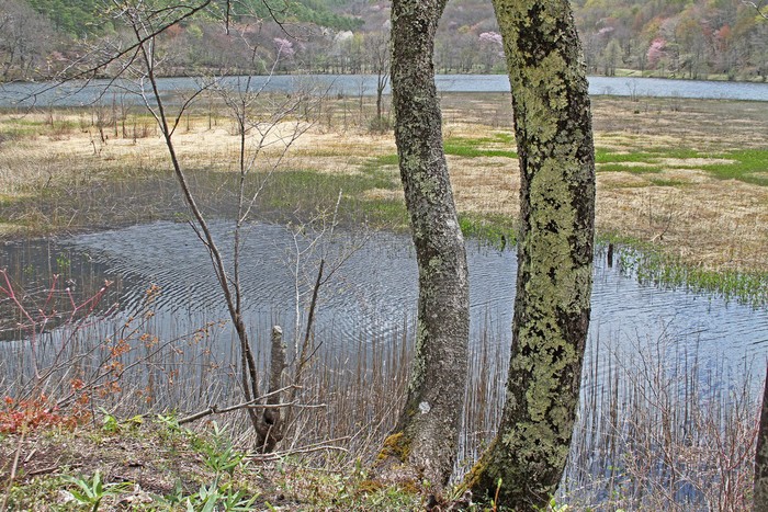 c0104227_9502483.jpg