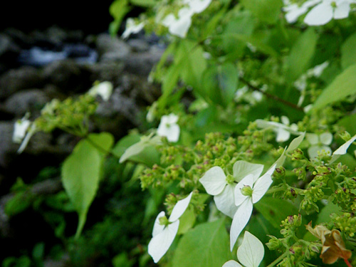 c0120834_1842762.jpg