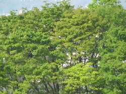 f0223234_86151.jpg
