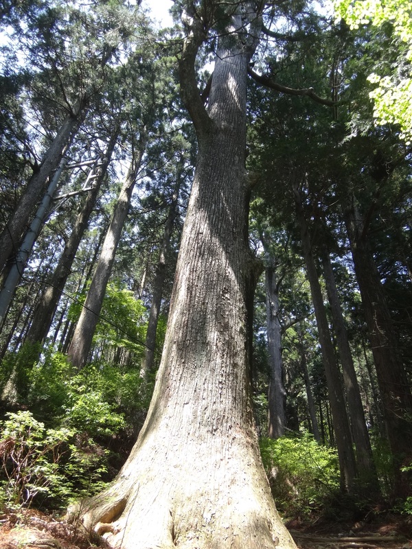 b0033639_22573949.jpg