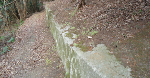 a0237545_20433847.png