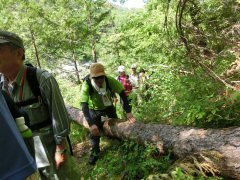 「川中島への道」第4回_f0019247_2141762.jpg