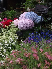 f0043559_15185534.jpg