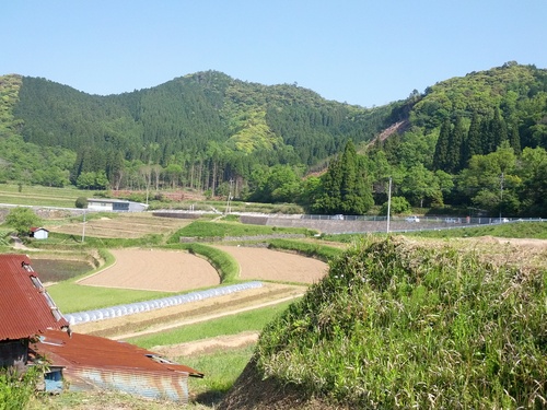 e0177961_24148.jpg