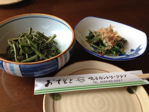 東鳴子 中鉢温泉 漁師です