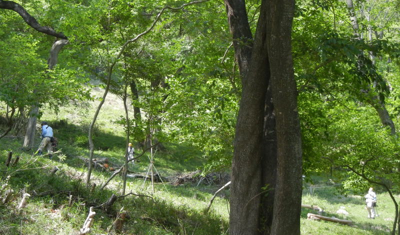 b0129962_18222560.jpg