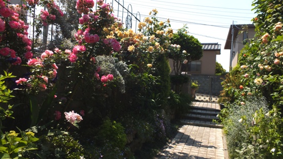 b0214473_1726440.jpg