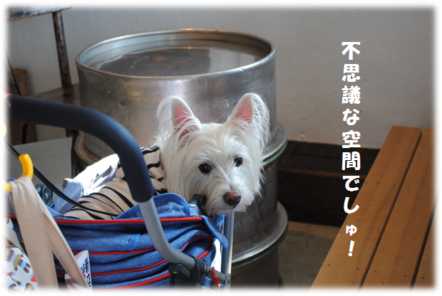 b0242873_0162359.png