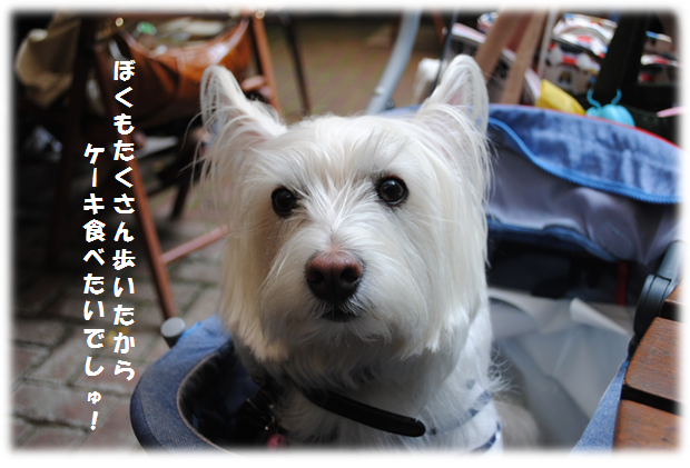 b0242873_0425864.png