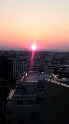 d0062076_1050163.jpg
