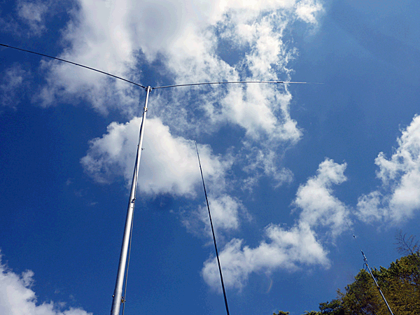 a0238278_1756196.gif