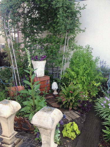 c0245883_010032.gif