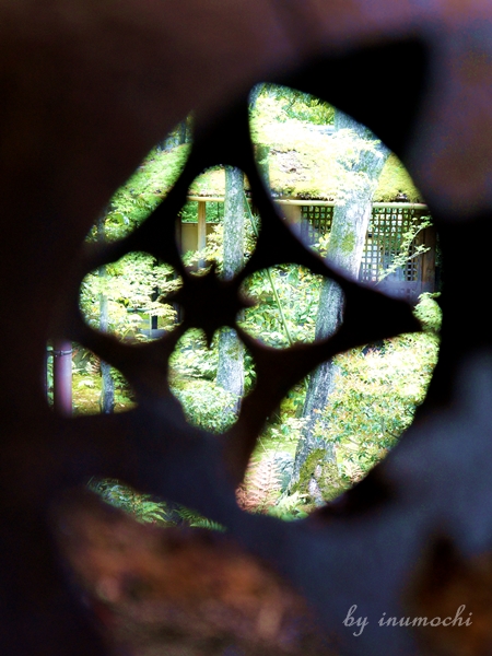 e0156083_7564274.jpg