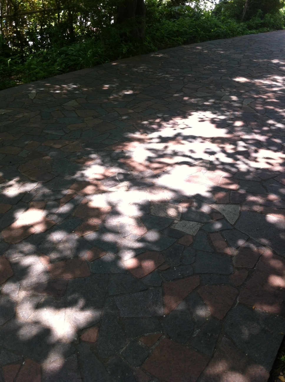 b0134285_22103219.jpg
