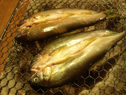 鮎(あゆ)の一夜干し_b0162386_0501196.jpg