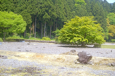 一人暮らし・高齢者夫婦研修旅行、福井へ_b0114193_20161396.jpg