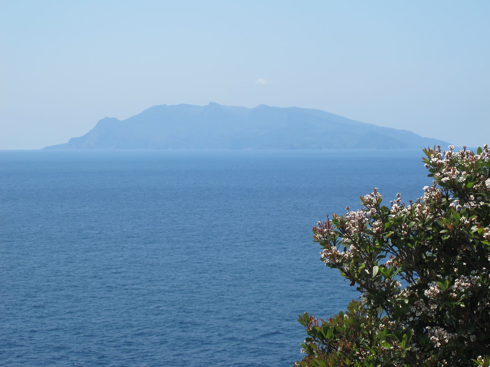 屋久島の旅⑤～島の周回を楽しむ　2013.5.3（金）晴れ_a0166196_17264043.jpg