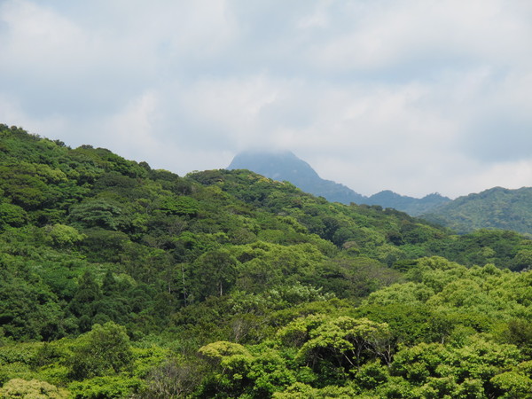 屋久島の旅⑤～島の周回を楽しむ　2013.5.3（金）晴れ_a0166196_17302096.jpg