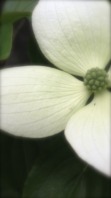b0083902_19115912.png