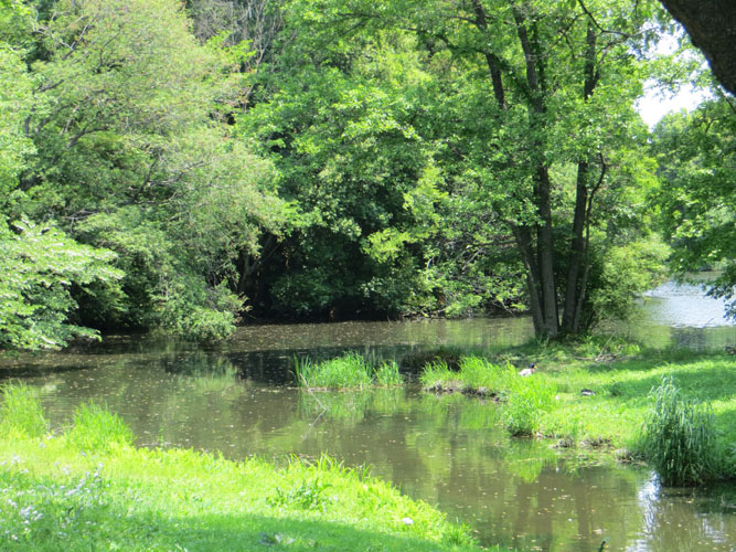 パレット通信41 2013年5月15日(水) 智光山公園スケッチ_b0129807_14592686.jpg