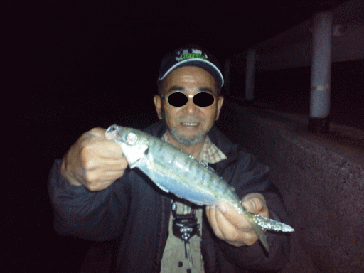 e0113508_21152010.gif