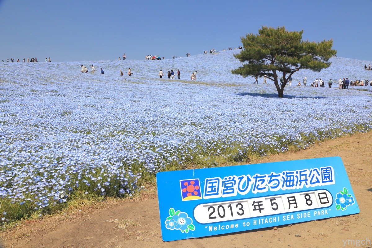 国営ひたち海浜公園（２）_f0157812_8331877.jpg