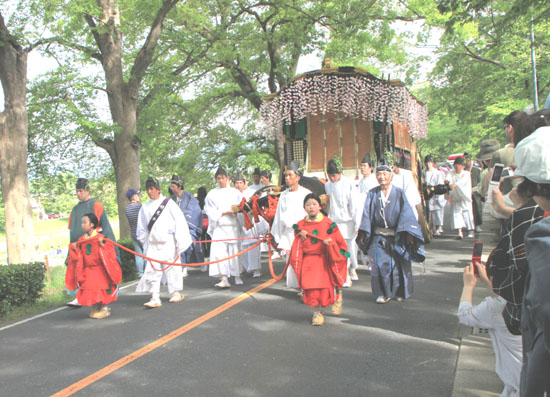 葵まつり2013_e0048413_21231139.jpg