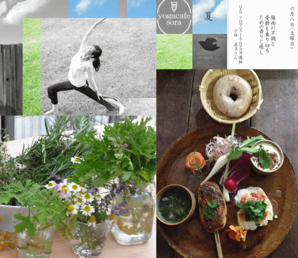 カラダ・タベル・マナブ 2013年限定企画 夏の会④_a0251920_0375583.gif