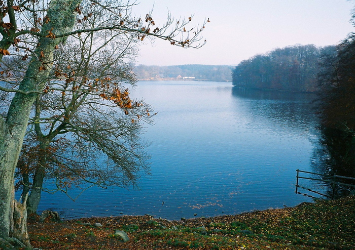 d0162423_23343260.jpg
