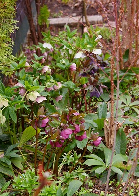 f0170524_18582873.jpg