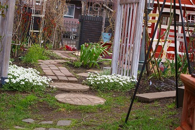 f0170524_1901581.jpg
