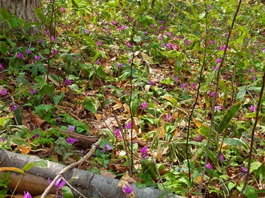c0204725_121568.jpg
