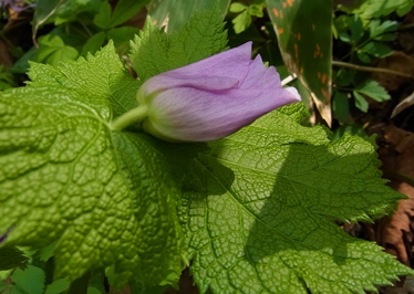 c0204725_1223115.jpg