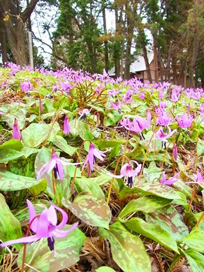 c0204725_1272355.jpg
