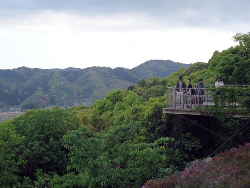 高知旅行記／牧野植物園_d0225727_9282441.jpg